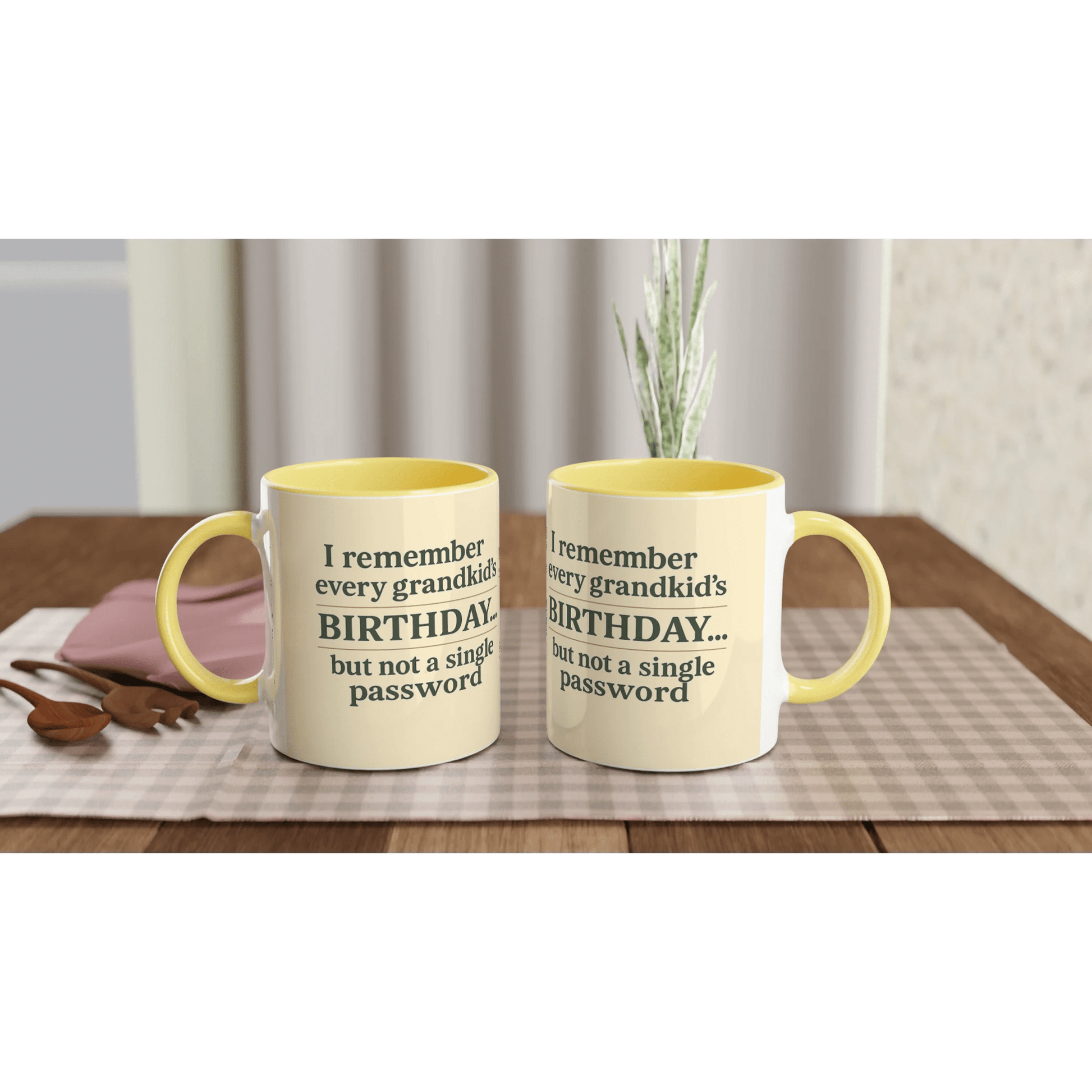 “Grandkids > Passwords” Mug – White Ceramic, 11oz - Prairie Echo Collective