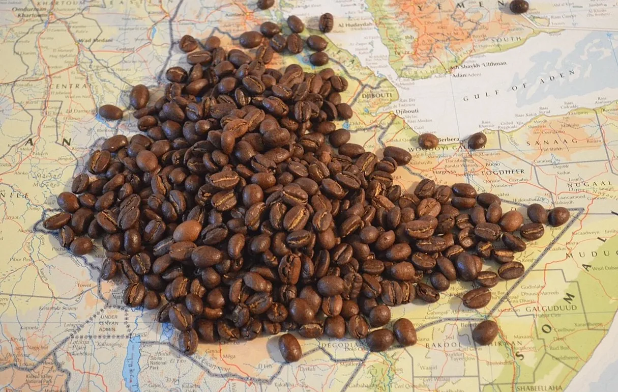 コーヒー豆とエチオピアのサイダモ地域を示す茶色い地図